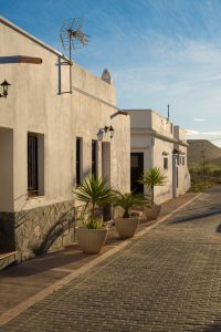 best desert landscaping ideas