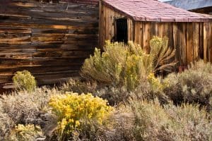 best desert landscaping ideas