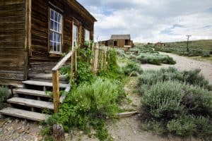 best desert landscaping ideas