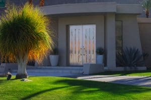 best desert landscaping ideas