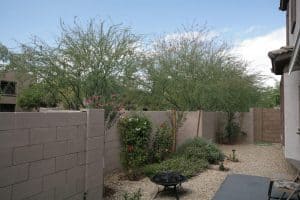 best desert landscaping ideas