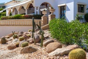 best desert landscaping ideas