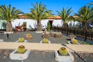 best desert landscaping ideas