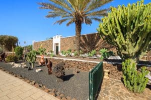 best desert landscaping ideas