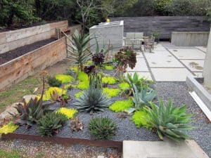 best desert landscaping ideas