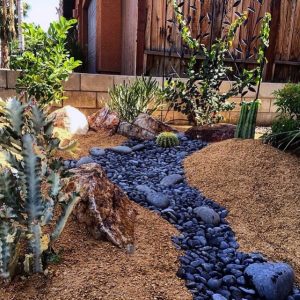 best desert landscaping ideas
