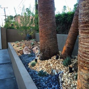 best desert landscaping ideas