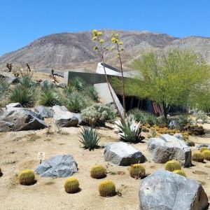 best desert landscaping ideas