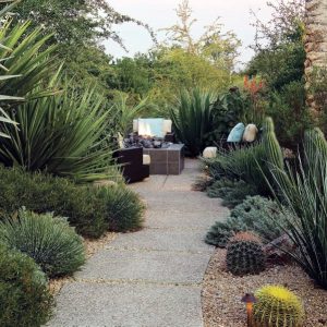best desert landscaping ideas