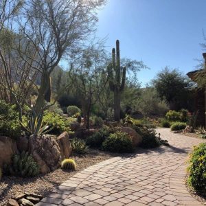 best desert landscaping ideas