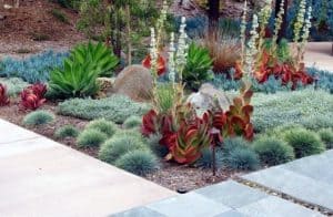 best desert landscaping ideas