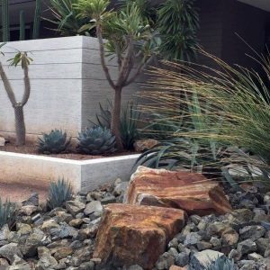 best desert landscaping ideas