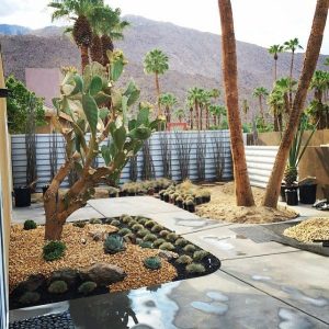best desert landscaping ideas