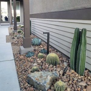best desert landscaping ideas