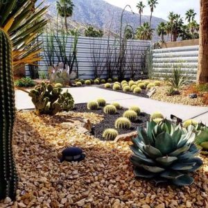 best desert landscaping ideas