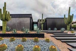 best desert landscaping ideas