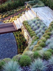 best desert landscaping ideas