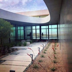 best desert landscaping ideas