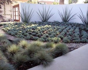 best desert landscaping ideas