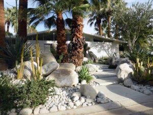 best desert landscaping ideas