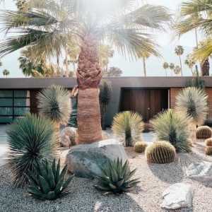 best desert landscaping ideas