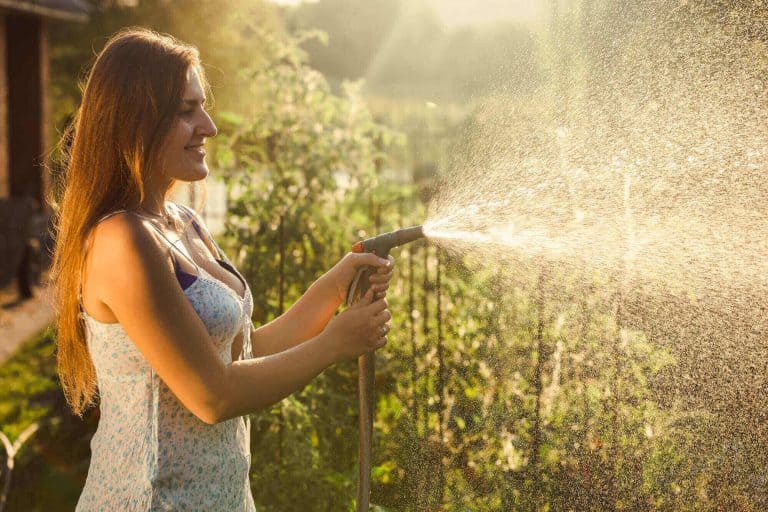 5 best stainless steel garden hoses: top picks and buying tips