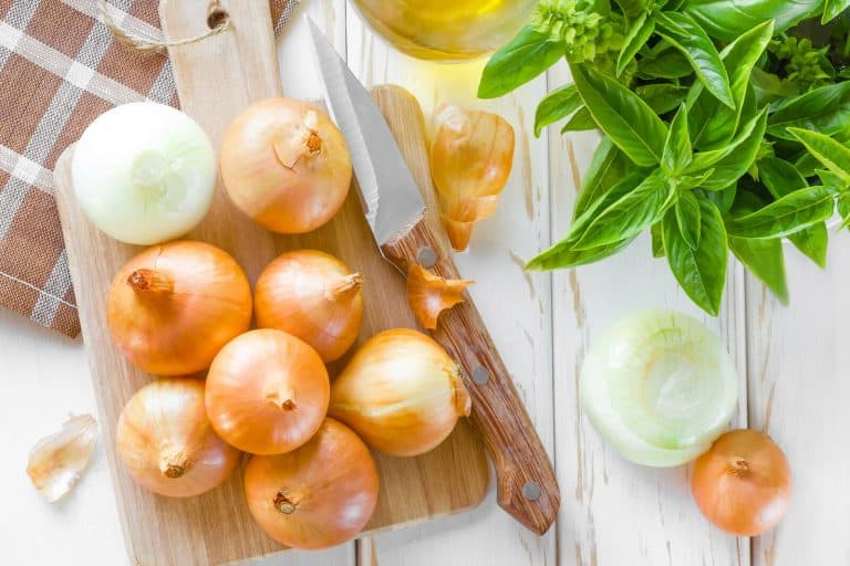 Types of Asexual Plants (12 Examples and Images) UpHomely