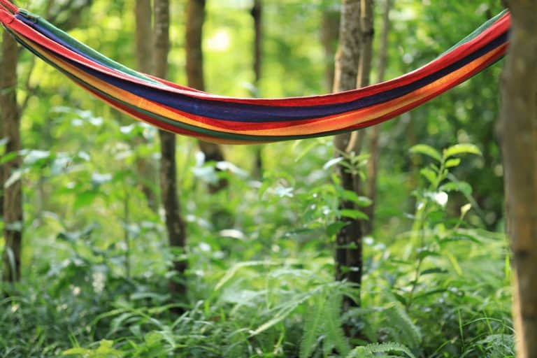 Are ENO Hammocks Worth It? (Explained)