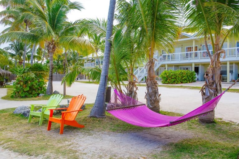 Why Are Hammocks So Expensive? (Here’s The Thing)