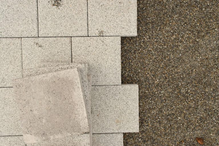 Is Paver Sand Good For Plants? {Explained}