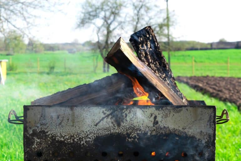 Is Boxelder Wood Good for Anything? (5 Facts With Pictures) UpHomely