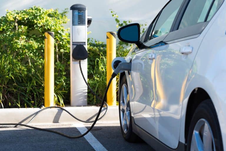 Why Do Hybrids Make Noise in Reverse? (3 Brands Checked!)